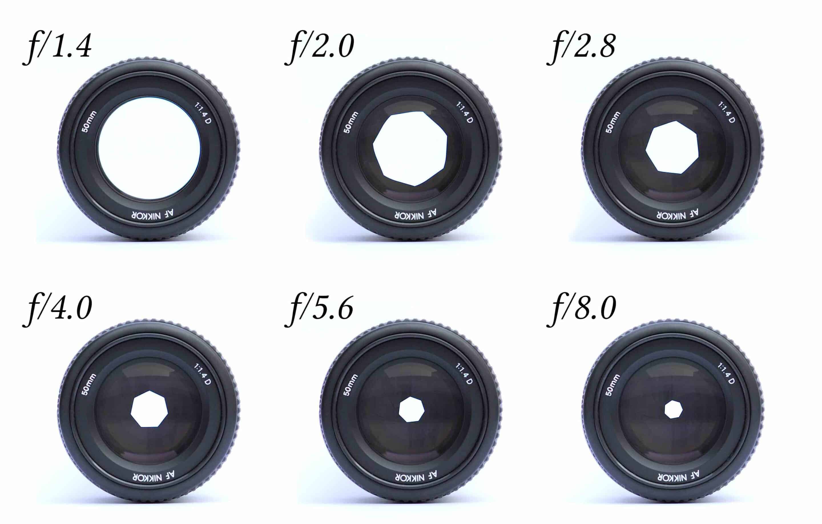 Zes lenzen naast elkaar met het diafragma van f/1.4 tot f/8.0 Zes lenzen naast elkaar met het diafragma van f/1.4 tot f/8.0