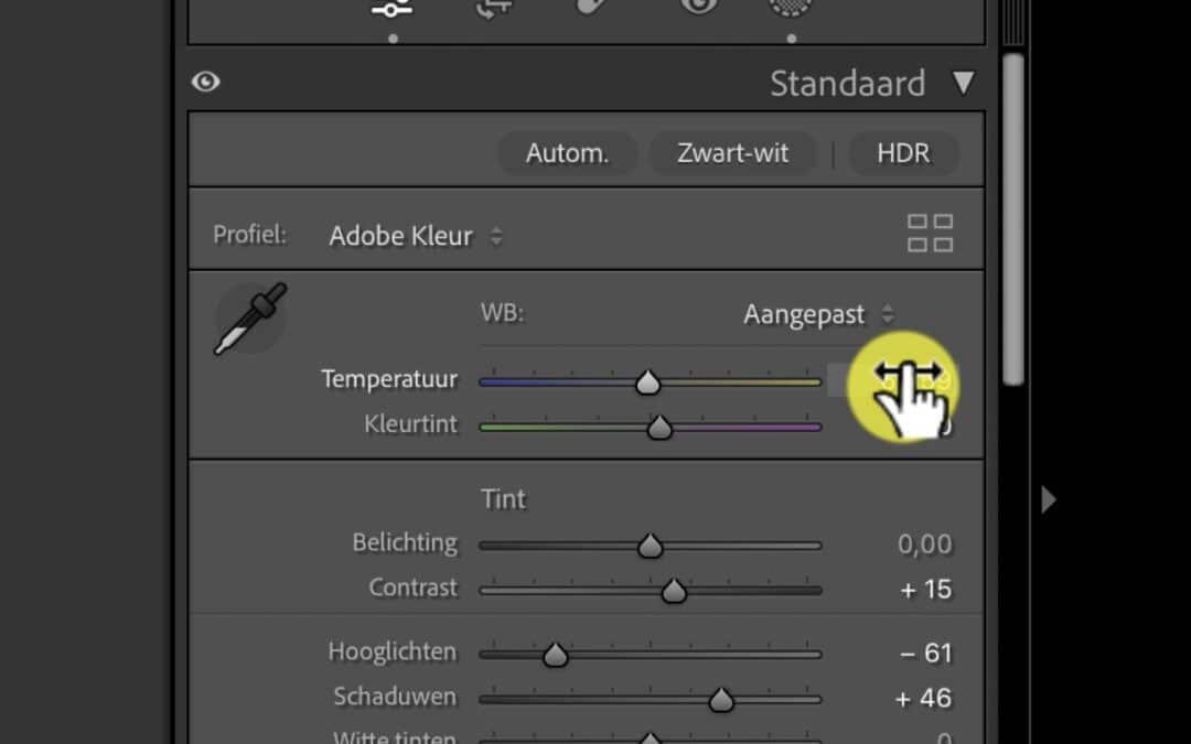 Wijzigen van waardes in de ONTWIKKEL module van Lightroom