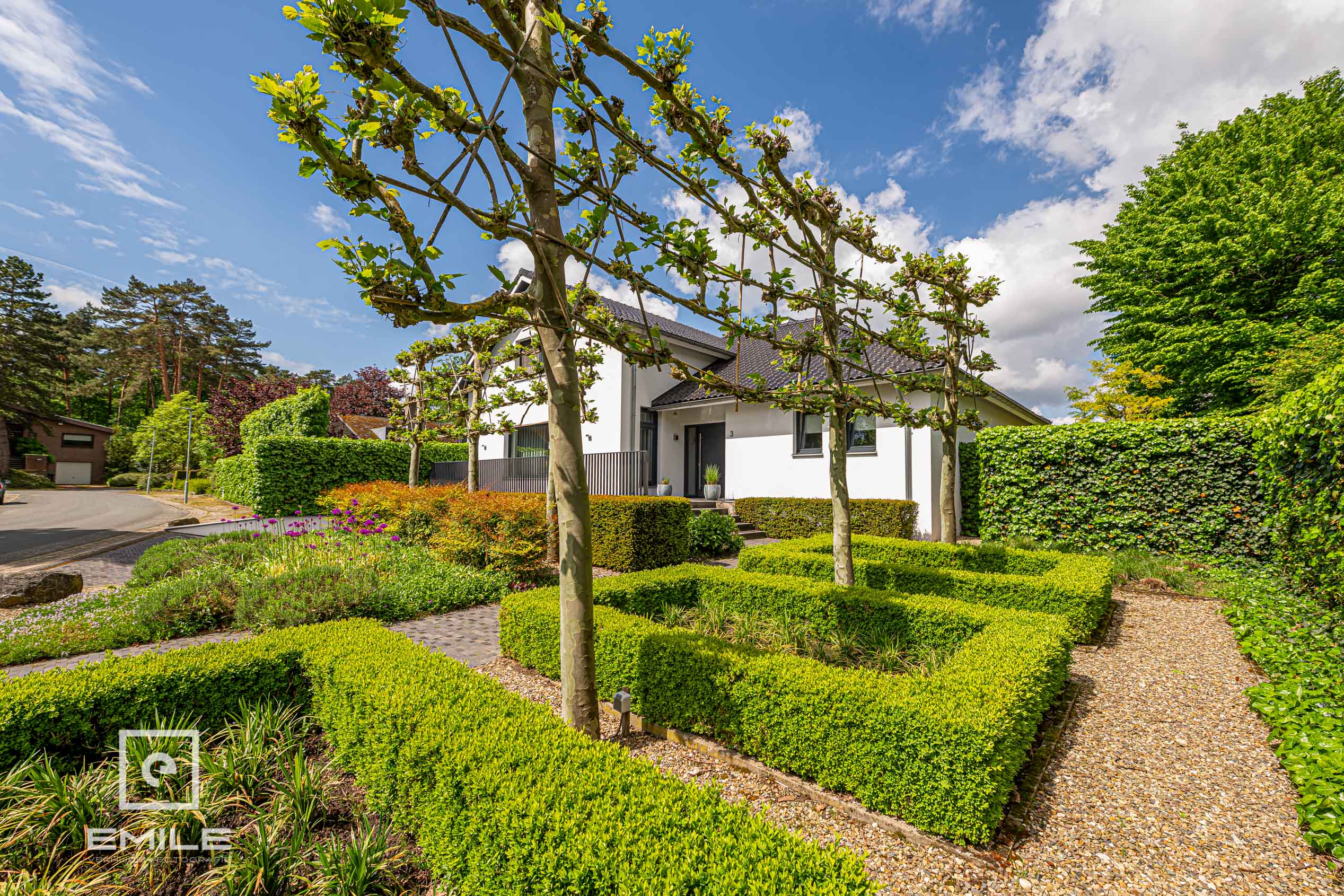 woningfotografie-landgraaf-voortuin-met-buxus-en-leibomen
